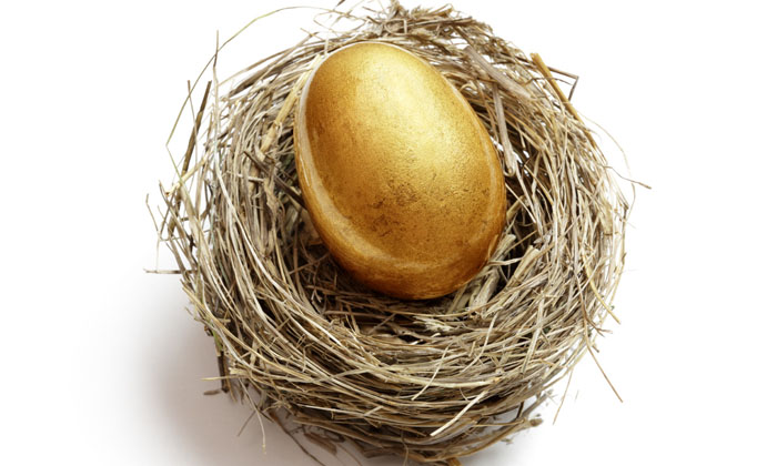 golden egg in a nest